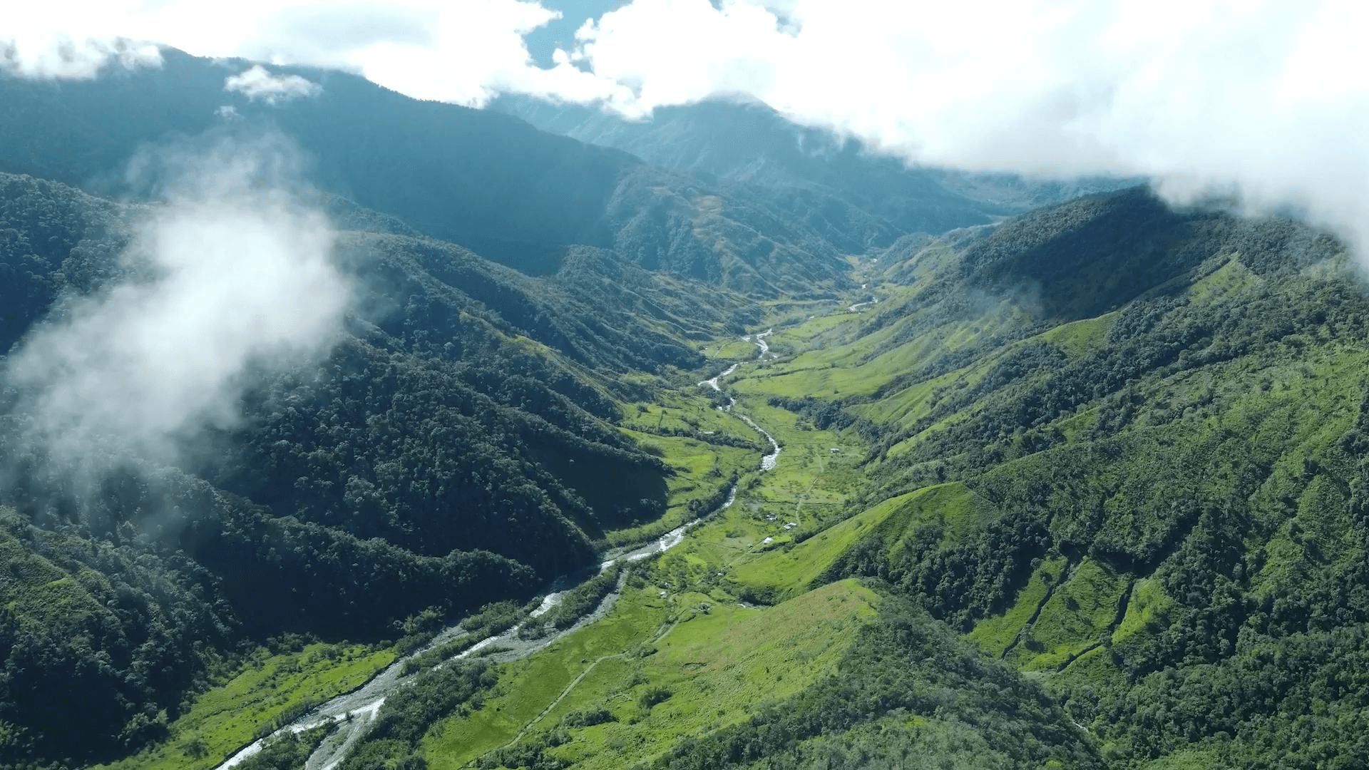 Coffee Region landscape